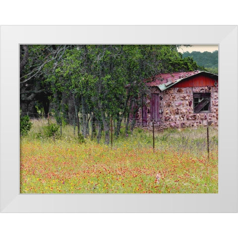 Country Meadow II White Modern Wood Framed Art Print by Peck, Gail