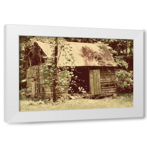 Homestead White Modern Wood Framed Art Print by Peck, Gail