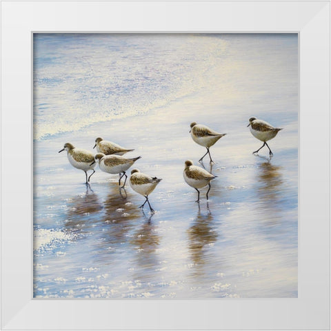 Sand Dancers Square White Modern Wood Framed Art Print by Nawrocke, Bruce