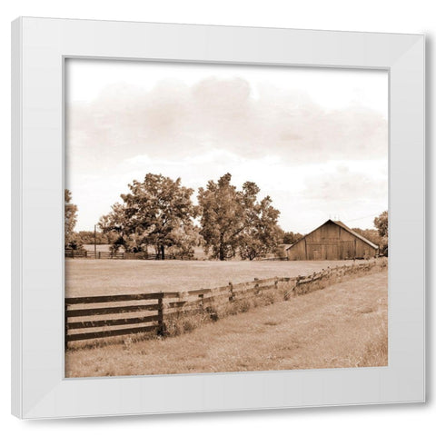 Simple Farm Life White Modern Wood Framed Art Print by Mabat, Ynon