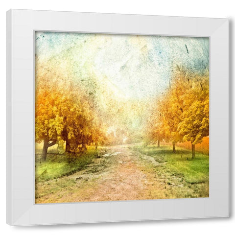Oak Path White Modern Wood Framed Art Print by Mabat, Ynon