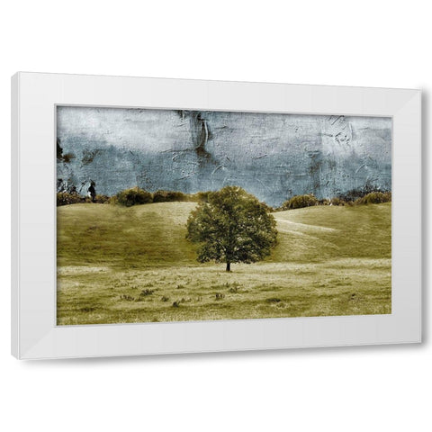 Tree in the Valley White Modern Wood Framed Art Print by Mabat, Ynon