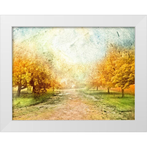 Oak Path White Modern Wood Framed Art Print by Mabat, Ynon