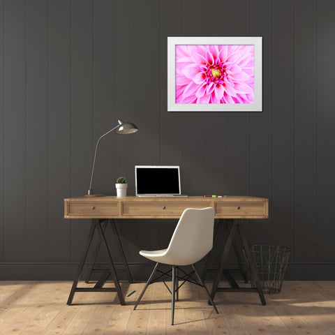 Pink Explosion I White Modern Wood Framed Art Print by Bryant, Susan