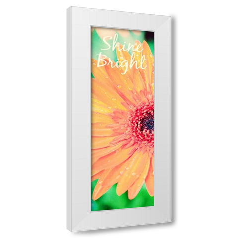 Shine Bright Daisy White Modern Wood Framed Art Print by Bryant, Susan