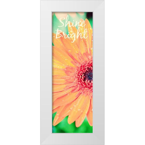 Shine Bright Daisy White Modern Wood Framed Art Print by Bryant, Susan