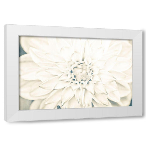 Bright White Bloom I White Modern Wood Framed Art Print by Bryant, Susan