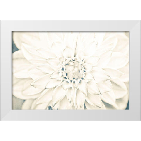 Bright White Bloom I White Modern Wood Framed Art Print by Bryant, Susan