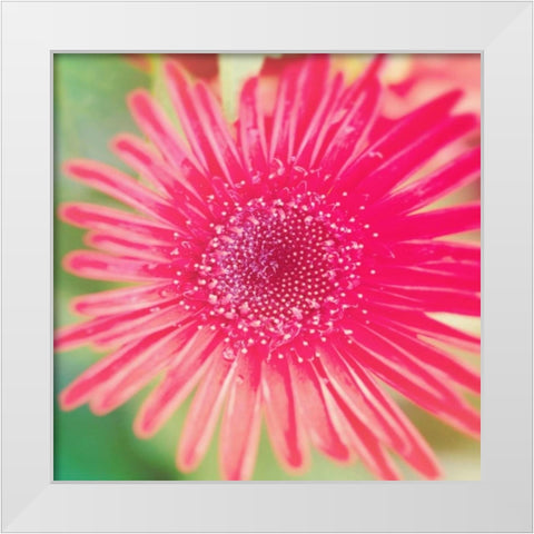 Pink Fun II White Modern Wood Framed Art Print by Bryant, Susan