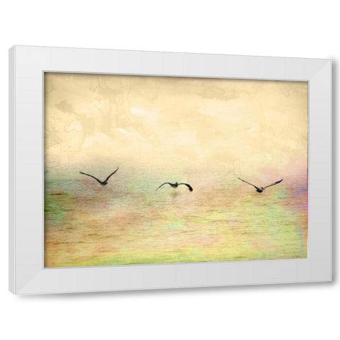 Seagulls in the Sky I White Modern Wood Framed Art Print by Mabat, Ynon