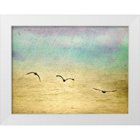 Seagulls in the Sky II White Modern Wood Framed Art Print by Mabat, Ynon