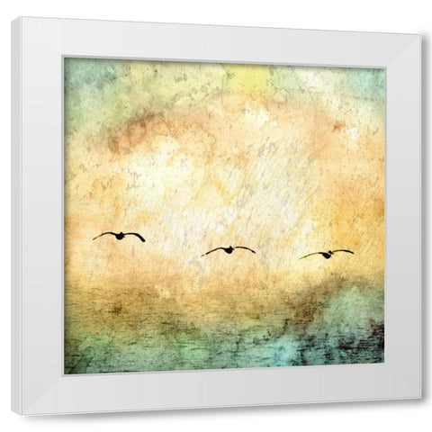 Seagulls in the Sky Square III White Modern Wood Framed Art Print by Mabat, Ynon