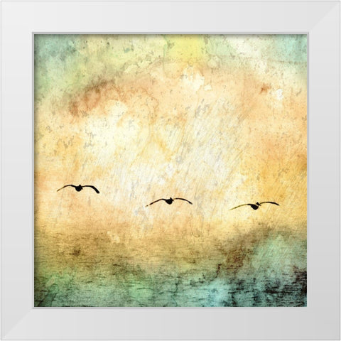 Seagulls in the Sky Square III White Modern Wood Framed Art Print by Mabat, Ynon