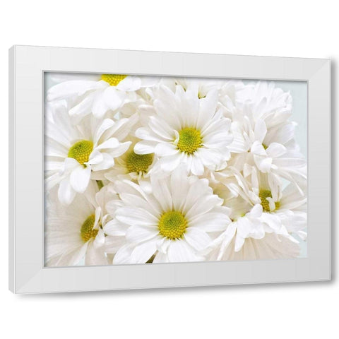 Bunch of White Daisies White Modern Wood Framed Art Print by Peck, Gail