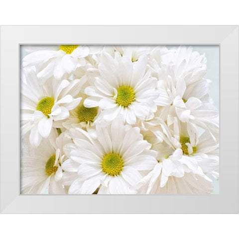 Bunch of White Daisies White Modern Wood Framed Art Print by Peck, Gail
