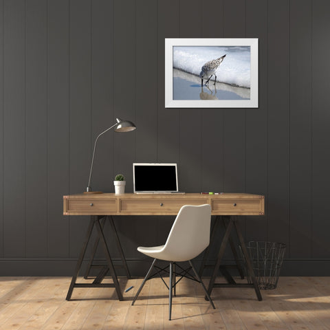 Sandpiper I White Modern Wood Framed Art Print by Nawrocke, Bruce