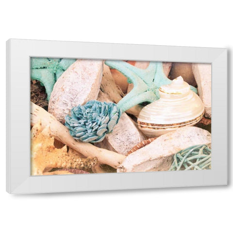 Bundle of Shells II White Modern Wood Framed Art Print by Bryant, Susan