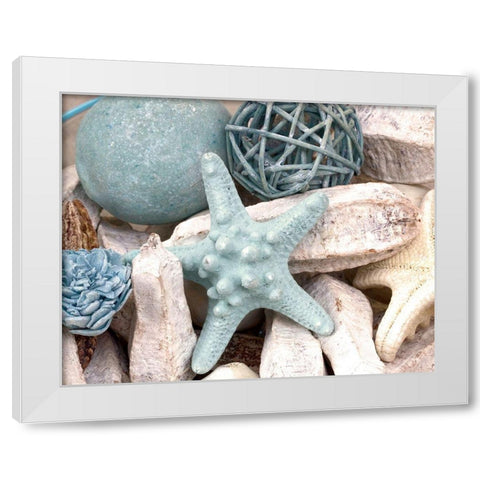 Bundle of Shells I White Modern Wood Framed Art Print by Susan Bryant