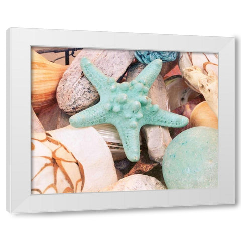 Bundle of Shells V White Modern Wood Framed Art Print by Bryant, Susan