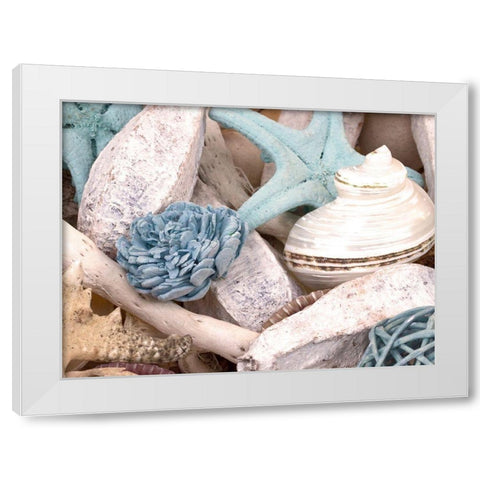 Bundle of Shells II White Modern Wood Framed Art Print by Bryant, Susan