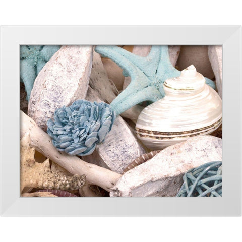 Bundle of Shells II White Modern Wood Framed Art Print by Bryant, Susan