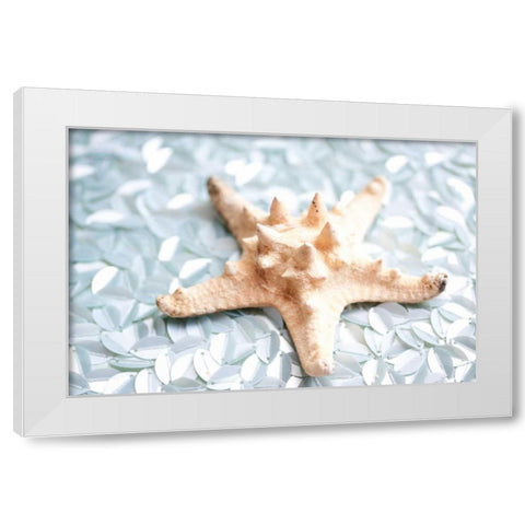 Shimmer Shells II White Modern Wood Framed Art Print by Bryant, Susan