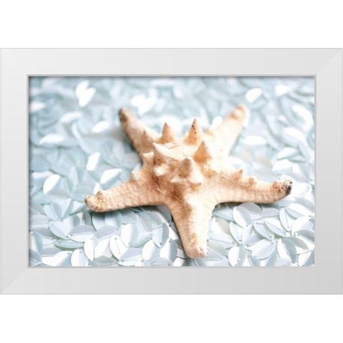 Shimmer Shells II White Modern Wood Framed Art Print by Bryant, Susan