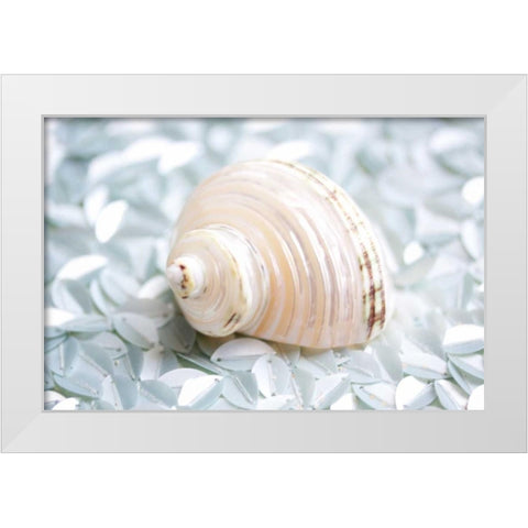 Shimmer Shells IV White Modern Wood Framed Art Print by Bryant, Susan