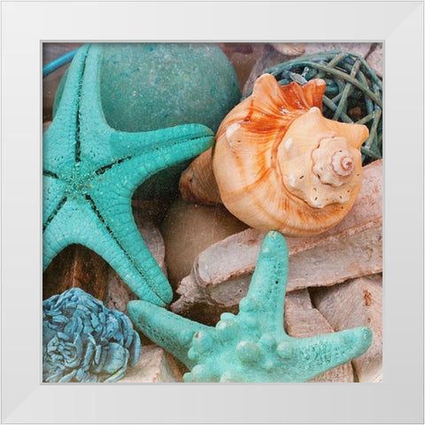 Bundle of Shells Square I White Modern Wood Framed Art Print by Bryant, Susan