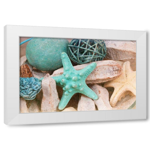 Bundle of Shells I White Modern Wood Framed Art Print by Bryant, Susan