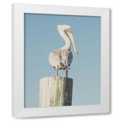 Pelican Post Muted I White Modern Wood Framed Art Print by Mansfield, Kathy