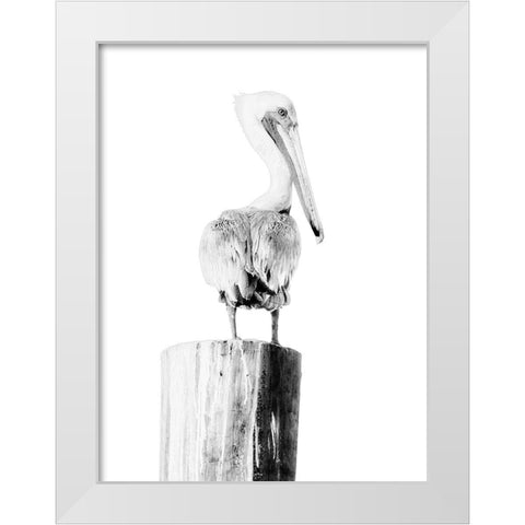 BW Pelican White Modern Wood Framed Art Print by Mansfield, Kathy