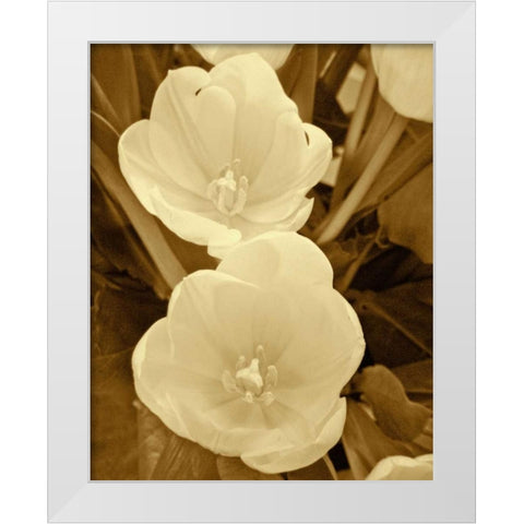 Sepia Blooms I White Modern Wood Framed Art Print by Rodriguez, Jairo