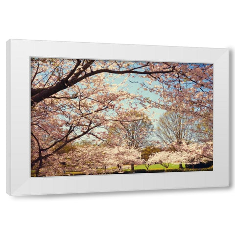 Blossom Beauty I White Modern Wood Framed Art Print by Mansfield, Kathy