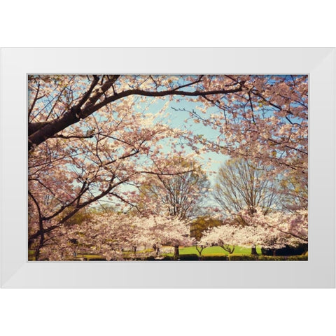 Blossom Beauty I White Modern Wood Framed Art Print by Mansfield, Kathy
