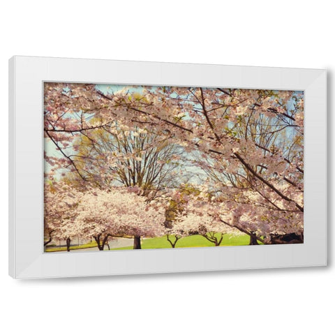 Blossom Beauty II White Modern Wood Framed Art Print by Mansfield, Kathy