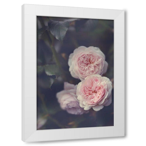 Hiding Blooms White Modern Wood Framed Art Print by Gardner, Sarah