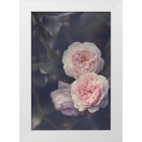 Hiding Blooms White Modern Wood Framed Art Print by Gardner, Sarah