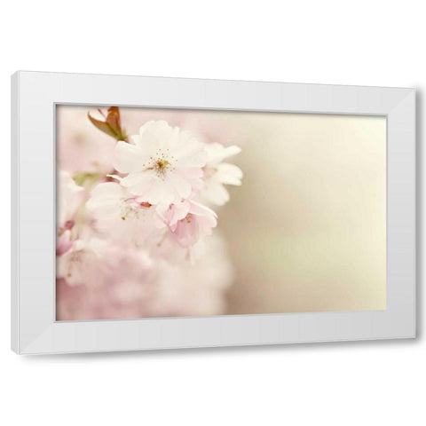 Spring Blossoms White Modern Wood Framed Art Print by Gardner, Sarah