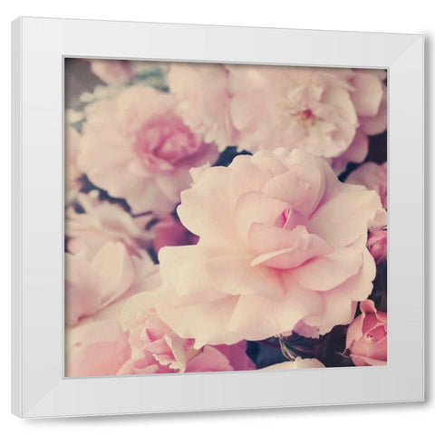 Pink Blossoms I White Modern Wood Framed Art Print by Gardner, Sarah