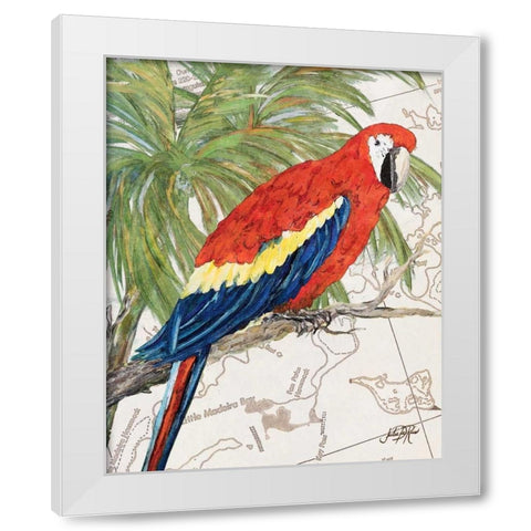 Another Bird in Paradise I White Modern Wood Framed Art Print by DeRice, Julie
