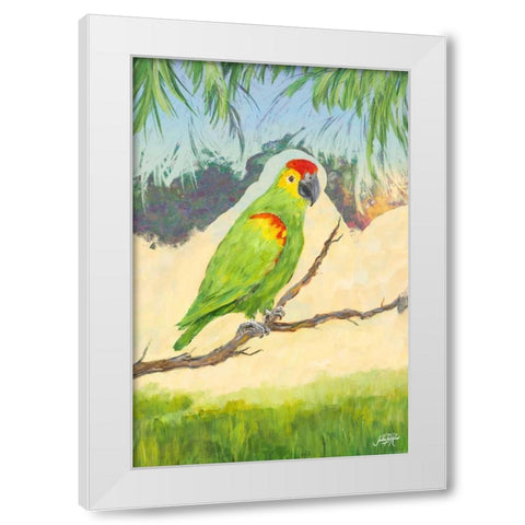 Tropic Bird in Paradise II White Modern Wood Framed Art Print by DeRice, Julie