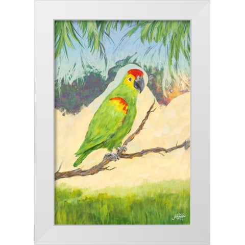 Tropic Bird in Paradise II White Modern Wood Framed Art Print by DeRice, Julie