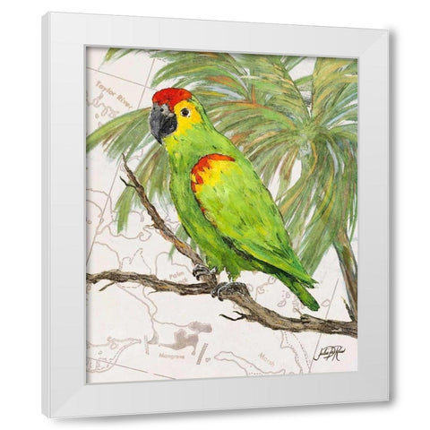 Another Bird in Paradise II White Modern Wood Framed Art Print by DeRice, Julie