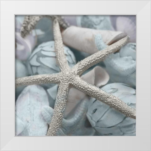 Seashells in Blue I White Modern Wood Framed Art Print by Bryant, Susan