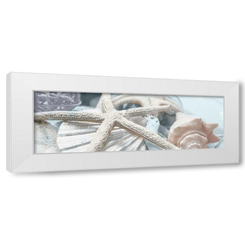 Gold Seashells I White Modern Wood Framed Art Print by Bryant, Susan