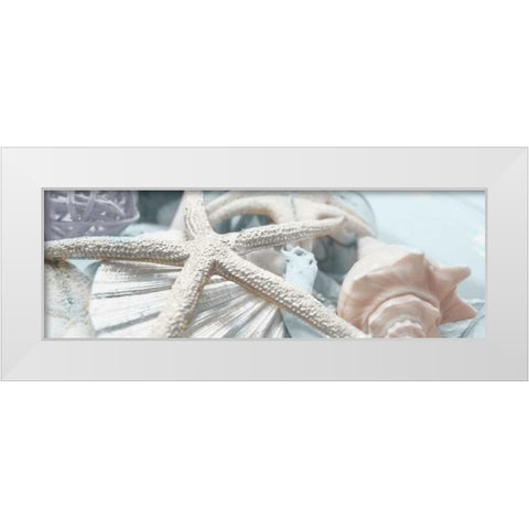 Gold Seashells I White Modern Wood Framed Art Print by Bryant, Susan