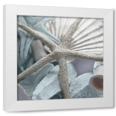 Seashells in Blue II White Modern Wood Framed Art Print by Bryant, Susan