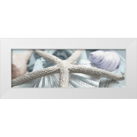 Gold Seashells II White Modern Wood Framed Art Print by Bryant, Susan