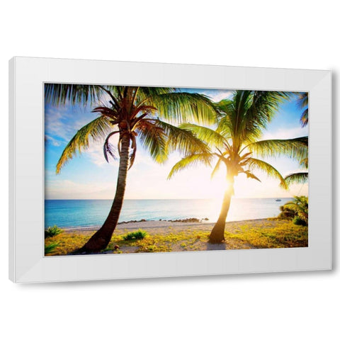 New Bimini White Modern Wood Framed Art Print by Bryant, Susan